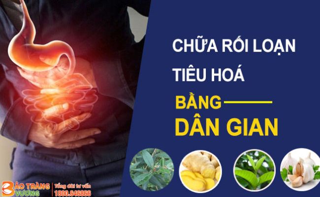 Những vị thuốc dân gian dùng để chữa rối loạn tiêu hóa