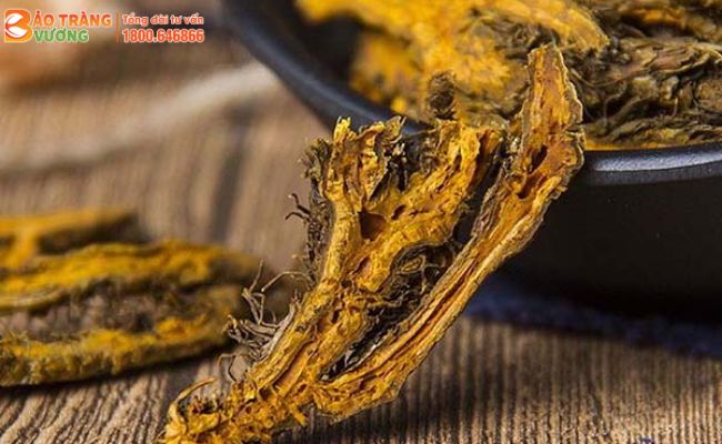 Cây Hoàng liên còn được gọi là Hoàng liên chân gà, Sâm Hoàng liên,…
